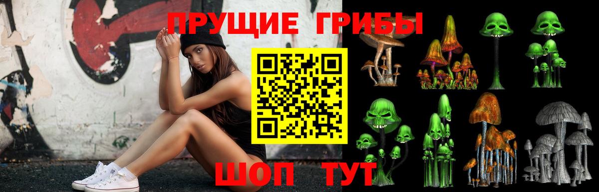 Галлюциногенные грибы Psilocybe Южноуральск
